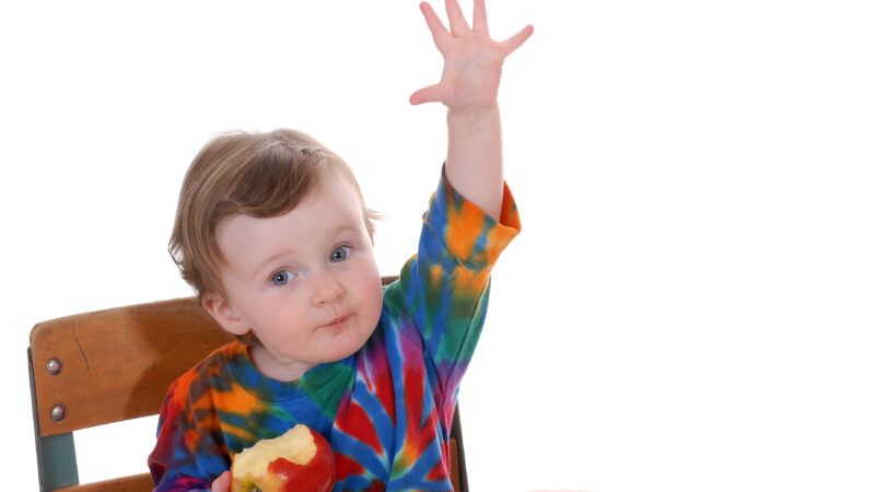 A toddler raises his hand at a school desk. | Stevies | Dreamstime.com