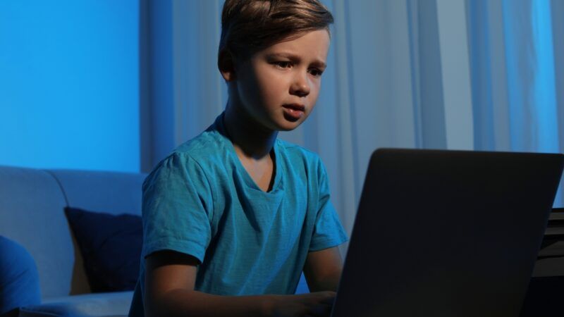Child using a computer | Chernetskaya / Dreamstime.com