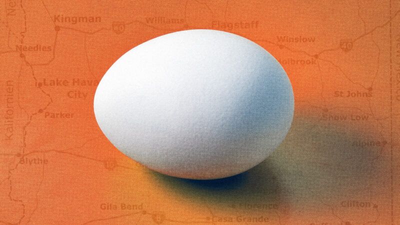 An egg sitting against the backdrop of a map of Arizona. | Illustration: Lex Villena