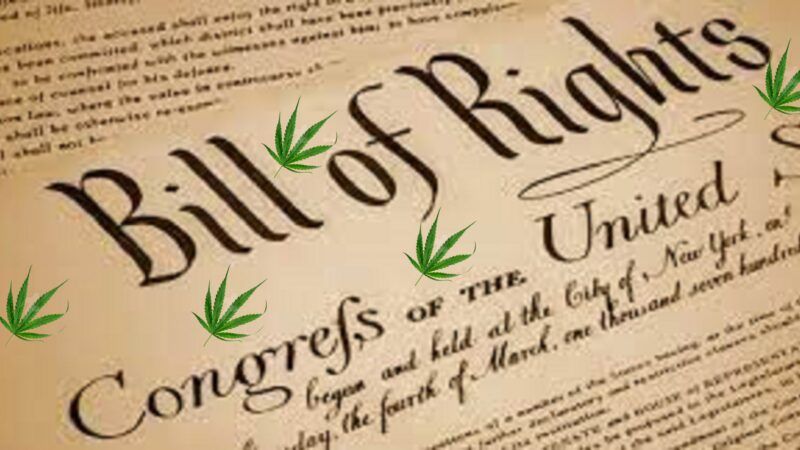 Cannabis leaves superimposed on the Bill of Rights | JZS
