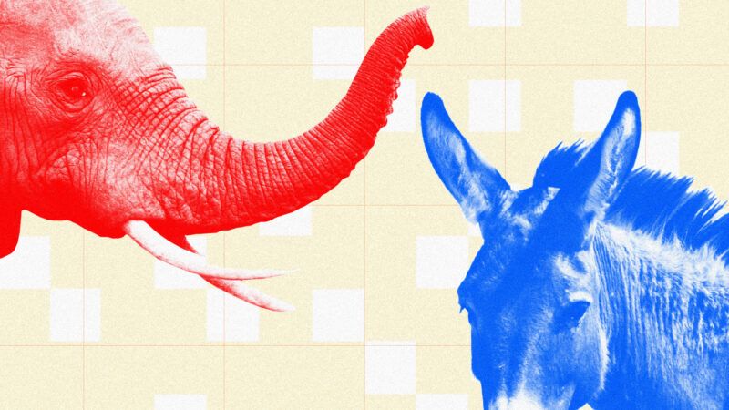 An red elephant and a blue donkey | Illustration: Lex Villena, Duncan Noakes 