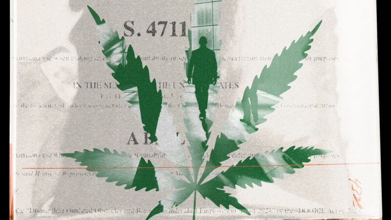 A cannabis leaf is seen over the DOOBIE Act | Illustration: Lex Villena; Midjourney