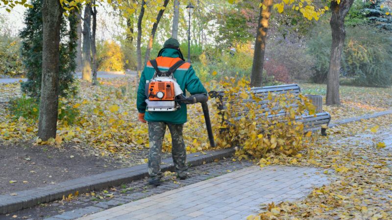 A man in a park, wearing a heavy coat, clears a walkway using a backpack leaf blower. | Olena1 | Dreamstime.com
