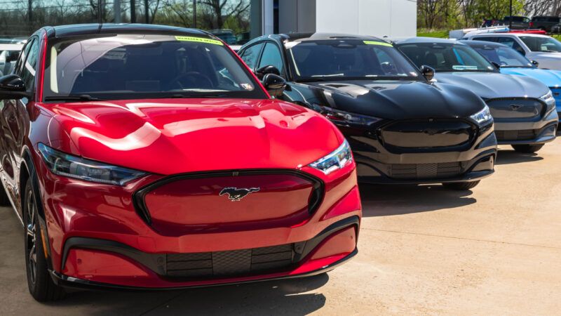 A row of Ford Mustang Mach E models at a dealership. | Bill H | Dreamstime.com