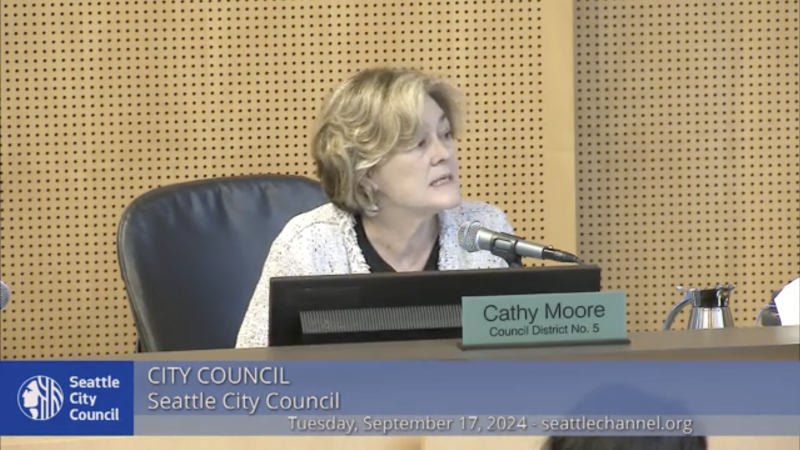 Seattle City council meeting, with member Cathy Moore speaking | Screenshot from Sept. 17 meeting of the Seattle City Council 