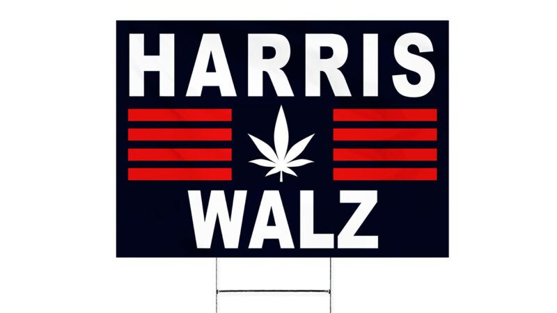 A Harris-Walz campaign sign with a marijuana leaf | Illustration: Joanna Andreasson