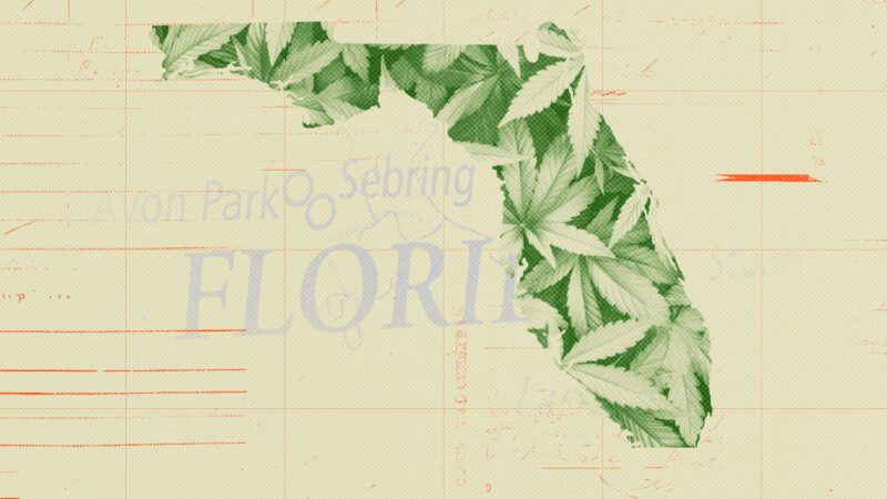 florida and weed | Illustration: Lex Villena; Ylivdesign, Tyler Oneill | Dreamstime.com