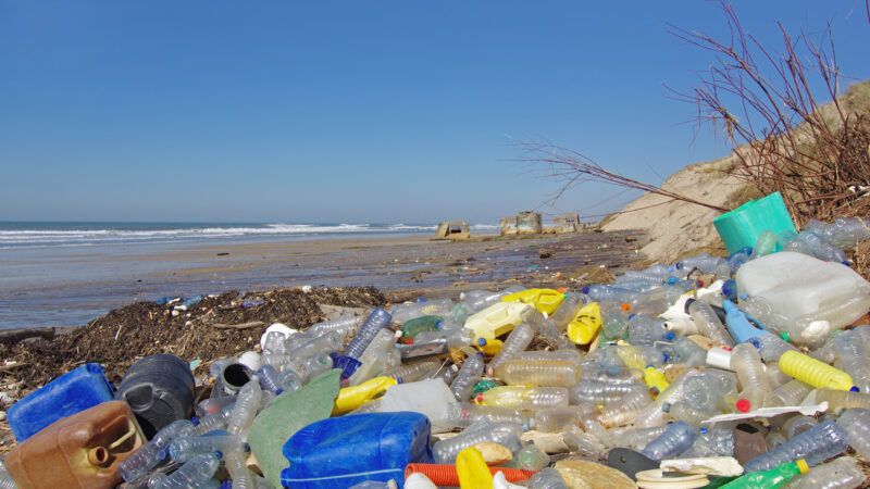 Plastic containers accumulating on land near a body of water | Fabien Monteil | Dreamstime.com