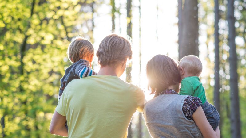 A mom and a dad walk through the woods, each of them holds a child and everyone has their back to the camera | ID 53719860 | Baby © Gajus | Dreamstime.com