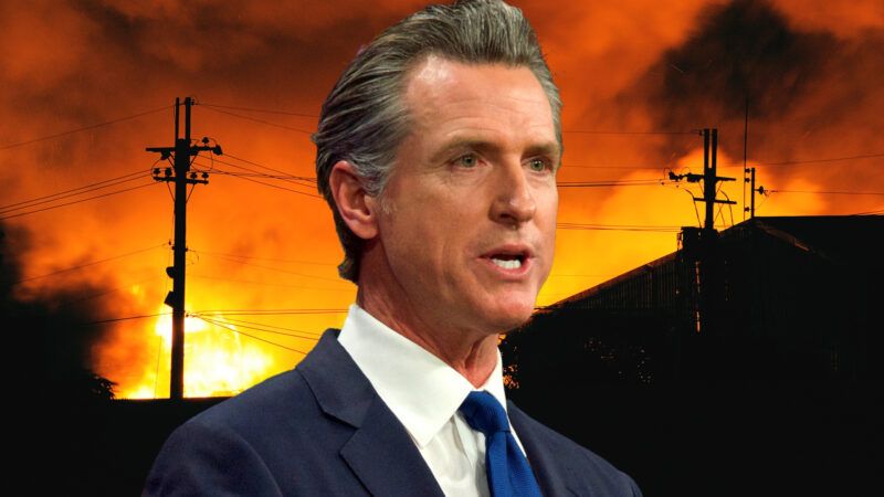 California Gov. Gavin Newsom, against the backdrop of raging wildfires and suburban homes, trees, and power lines in silhouette. | Illustration: Lex Villena; Long Gao Wu, Sheila Fitzgerald