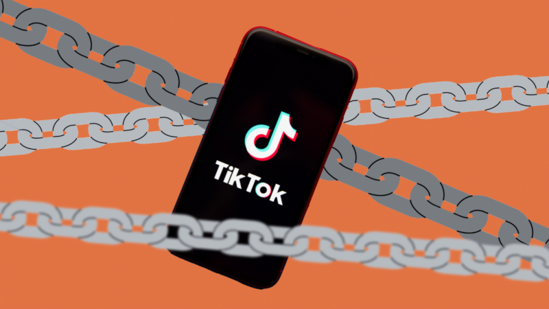 TikTok ban | Illustration: Lex Villena,  Wavector, Dreamstime.com