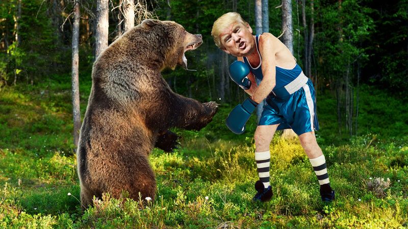 An illustration of Donald Trump boxing a bear | Illustration: Joanna Andreasson Source images: iStock, Gage Skidmore