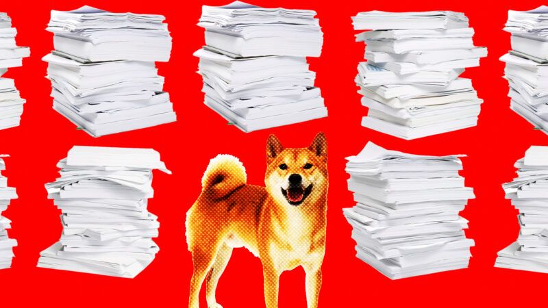 A red background with white stacks of paper and a picture of a DOGE-like dog | Illustration: Lex Villena; Andrey Yakovlev 