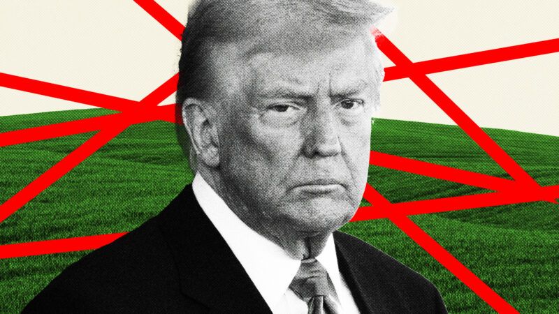 President Donald Trump in front of a field and surrounded by red tape | Illustration: Lex Villena; Fotocromo, Chris Kleponis CNP Polaris Newscom