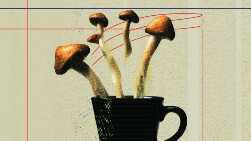 mushrooms in a tea cup | Lex Villenal Midjourney