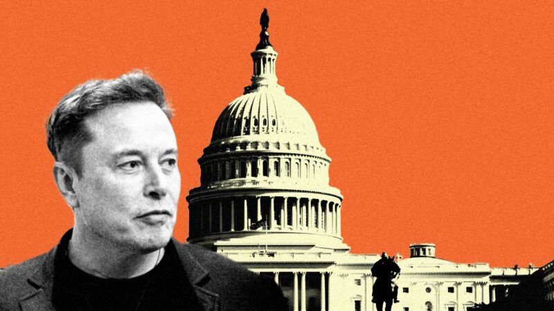 Elon Musk, with the U.S. Capitol in the background. | Illustration: Eddie Marshall | Aaron Schwartz | CNP | Sipa USA |Newscom | Catherine Lall | Dreamstime.com