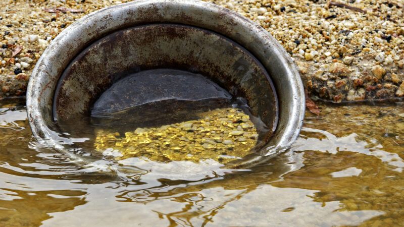 A gold pan sideways in a stream, full of gold nuggest. | Clearviewstock | Dreamstime.com