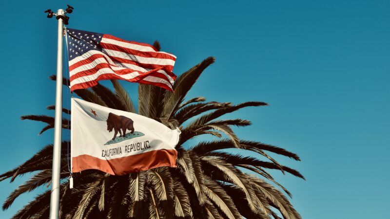 American flag and California flag | Photo by <a href="https://unsplash.com/@lnicolern?utm_content=creditCopyText&utm_medium=referral&utm_source=unsplash">Lesli Whitecotton</a> on <a href="https://unsplash.com/photos/a-flag-on-a-palm-tree-n9tDI9ZhbtQ?utm_content=creditCopyText&utm_medium=referral&utm_source=unsplash">Unsplash</a>       