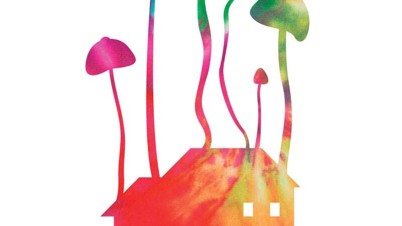 An illustration of psilocybin mushrooms An illustration of psilocybin mushrooms | Illustration: Joanna Andreasson