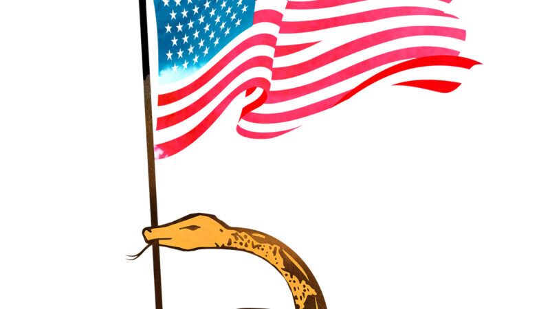 An illustration of the Don't Tread on Me snake holding an American flag | Illustration: Joanna Andreasson