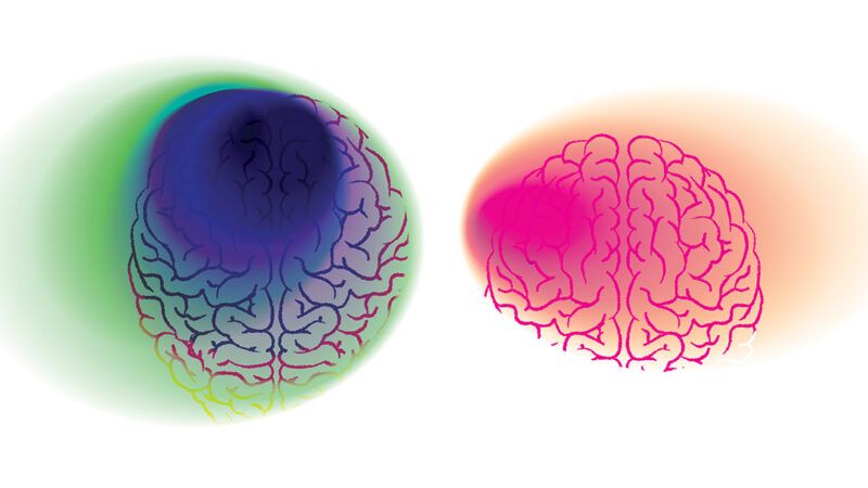 Illustration of brains | Illustration: Joanna Andreasson