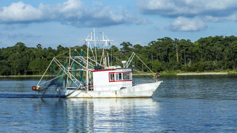A fishing boat at sea | ID 50066006 ©  Meinzahn | Dreamstime.com