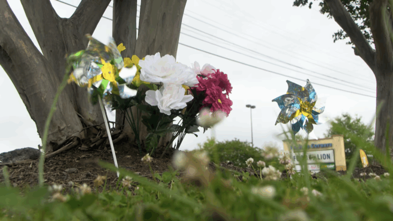 Roadside memorial for a seven year old boy hit and killed by a car | Screenshot via WBTV