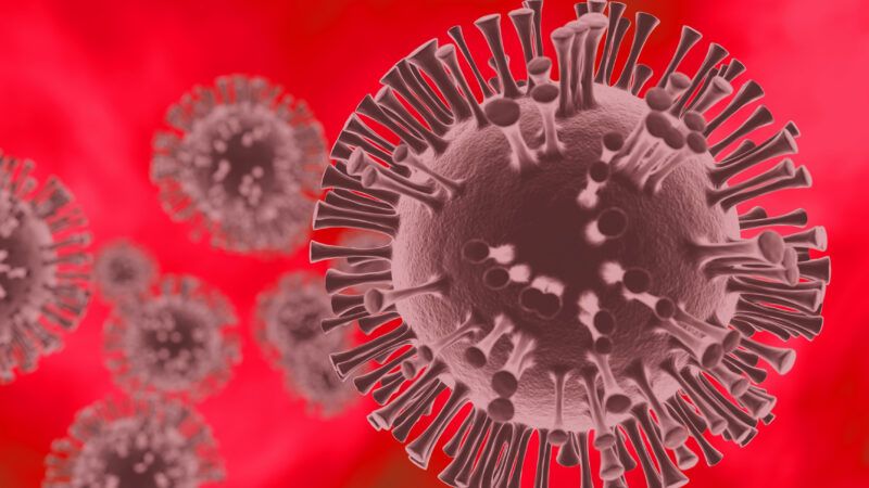 COVID virus | Theo Gottwald/Dreamstime.com