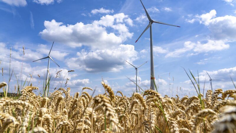 Wind turbines | imageBROKER/Jochen Tack/Newscom