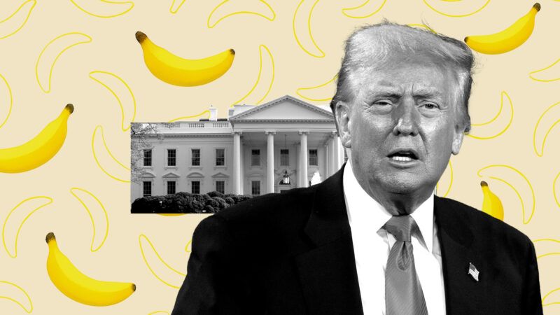 President Donald Trump with a photo of the White House behind him. Images of bananas are in the background. | Illustration: Eddie Marshall | Will Oliver | Pool via CNP | CNP | Polaris | Newscom | Ahdrum | Dreamstime.com | ChatGPT
