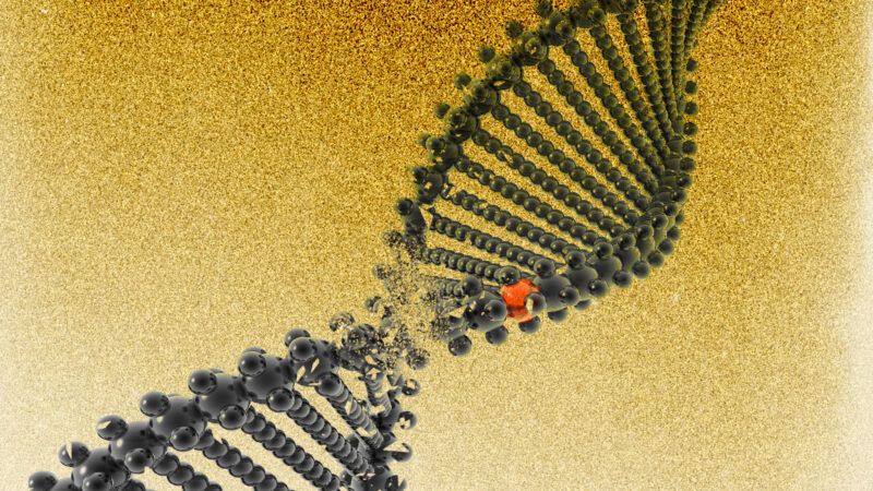 Strand of DNA | Illustration: Eddie Marshall | Putnik | Dreamstime.com