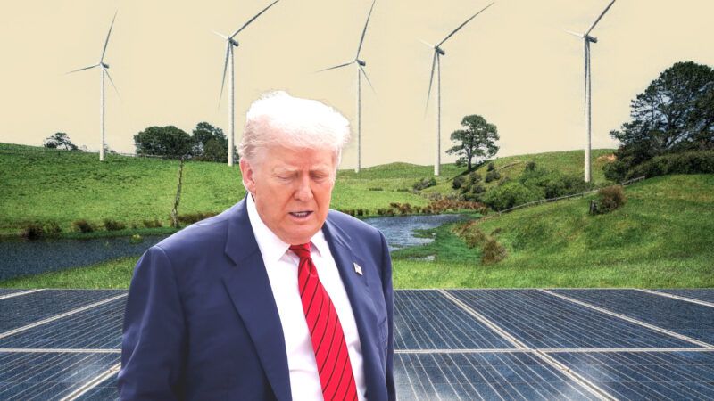 President Donald Trump in front of wind farms | Illustration: Eddie Marshall | BiancoBlue | Dreamstime.com | Samuel Corum | UPI | Newscom