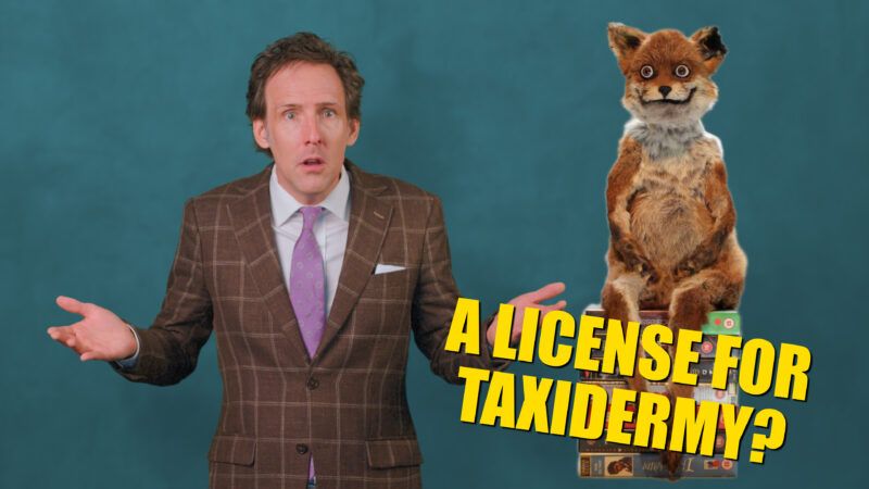 A license for taxidermy? A license for taxidermy? | ReasonTV