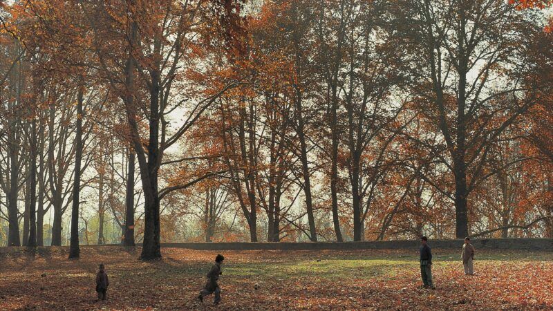 A field surrounded by trees with small children playing |  imageBROKER/dad fotos/Newscom