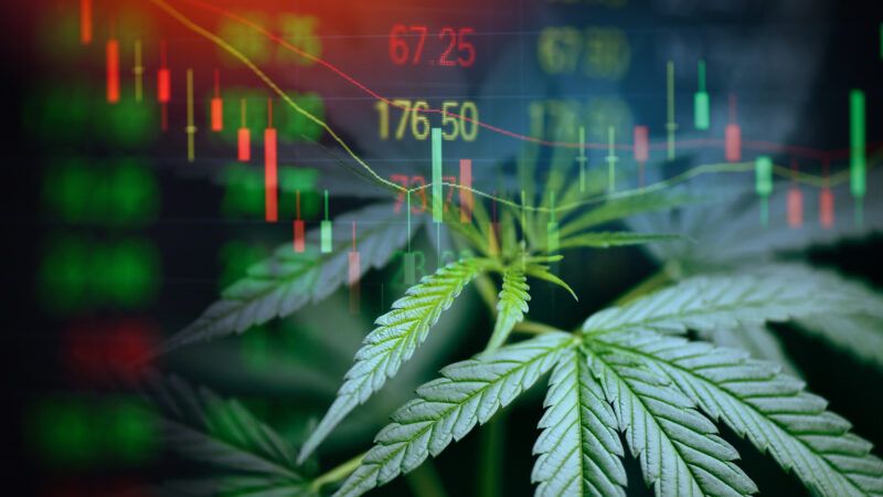 Marijuana leaves and the stock market. | Engdao Wichitpunya | Dreamstime.com