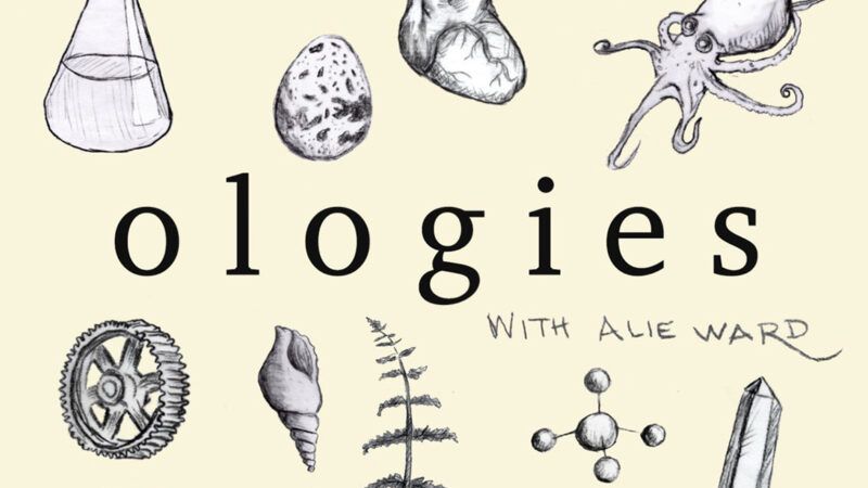 minis_ologies | Ologies Podcast