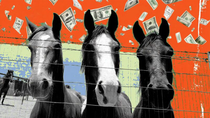 Money falls behind several horses | Illustration: Eddie Marshall | Maksym Velishchuk | Dreamstime.com | Midjourney