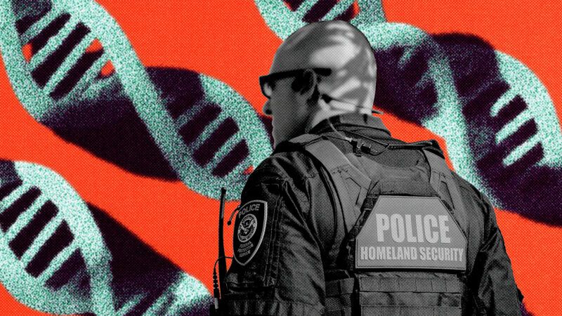 Homeland security agent, with DNA in the background | Illustration: Eddie Marshall | Charles-McClintock Wilson | ZUMAPRESS | Newscom | Midjourney