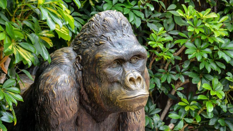 A bronze statute of a gorilla, looking pensive, in bushes. | Underworld | Dreamstime.com