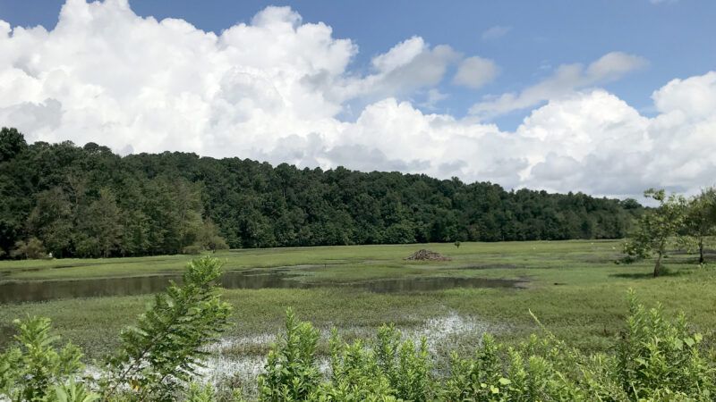 An open water area of a national park. | William Wise | Dreamstime.com