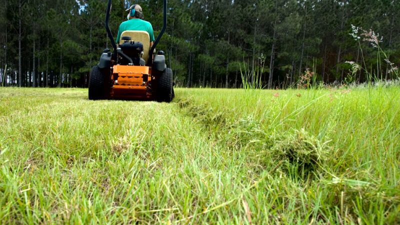 A man mows grass on a zero turn riding lawn mower, with his back to the camera. | Eti Swinford | Dreamstime.com