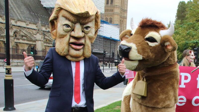 Person wearing Trump mask standing next to person wearing cattle costume | Keith Mayhew/Landmark Media / Landmark Media/Newscom
