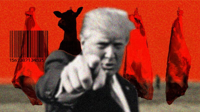 Illustration of President Donald Trump in front of hanging cow carcasses | Illustration: Eddie Marshall | Midjourney