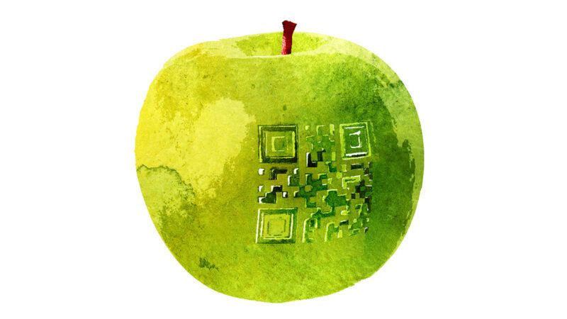 An illustration of a green apple with a QR code on it | Illustration: Joanna Andreasson; Source image: iStock