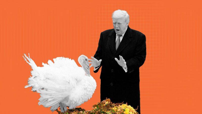 Donald Trump is seen with a turkey in the Rose Garden at the White House | Illustration: Eddie Marshall | Abaca Press | Gripas Yuri | Abaca | Sipa USA | Newscom