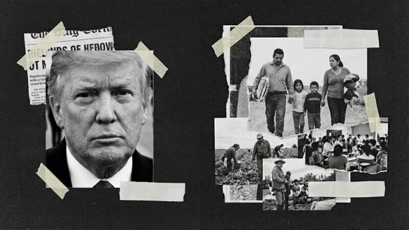 A photo of Donald Trump alongside photos of immigrants | Illustration: Eddie Marshall | Nano Banana