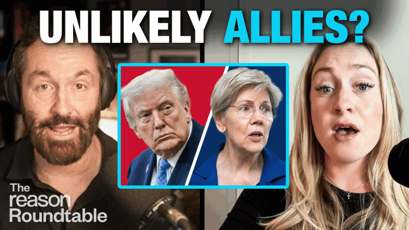 Peter Suderman speaks into a microphone on the left, Liz Wolfe appears on camera on the right, and a centered graphic shows Donald Trump and Elizabeth Warren facing opposite directions. The headline above them reads “Unlikely Allies?” | Illustration: Eddie Marshall