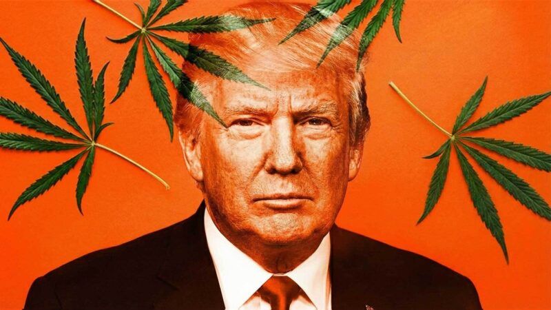 President Donald Trump and marijuana leaves | Eddie Marshall | Nano Banana