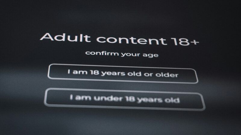 Adult verification notice | Photo by <a href="https://unsplash.com/@zulfugarkarimov?utm_source=unsplash&utm_medium=referral&utm_content=creditCopyText">Zulfugar Karimov</a> on <a href="https://unsplash.com/photos/adult-content-18-confirm-your-age-gQth0cwzI9A?utm_source=unsplash&utm_medium=referral&utm_content=creditCopyText">Unsplash</a>       