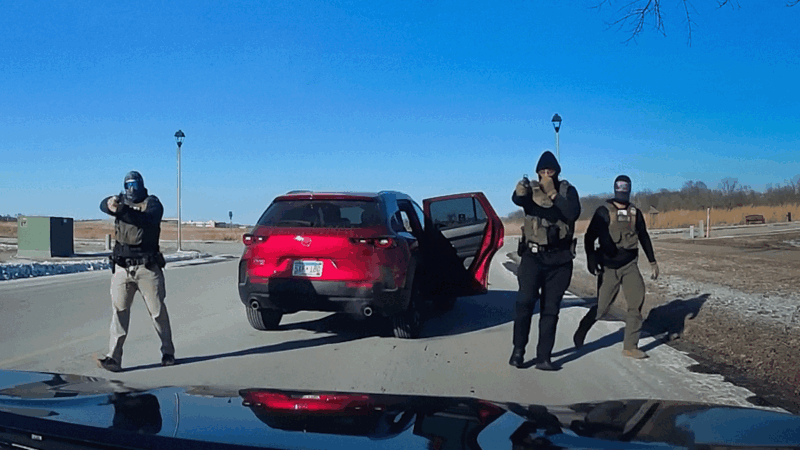 ICE arrests observer | MPR News